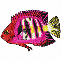Fishes Embroidery Design 11 Fishes Embroidery Design 11